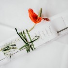 Foto: freilichtmomente