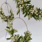 Foto: Monika Wittmann Photography