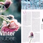 Weekend Magazin Home Teil 1 (Herbst 2018)